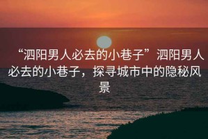 “泗陽男人必去的小巷子”泗陽男人必去的小巷子，探尋城市中的隱秘風景