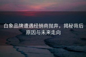 白象品牌遭遇經(jīng)銷商拋棄，揭秘背后原因與未來走向