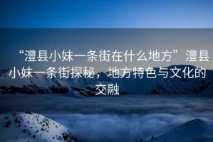 “澧縣小妹一條街在什么地方”澧縣小妹一條街探秘，地方特色與文化的交融