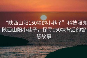 “陜西山陽150塊的小巷子”科技照亮陜西山陽小巷子，探尋150塊背后的智慧故事