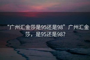 “廣州匯金莎是95還是98”廣州匯金莎，是95還是98？