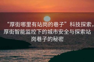 “厚街哪里有站崗的巷子”科技探索，厚街智能監(jiān)控下的城市安全與探索站崗巷子的秘密