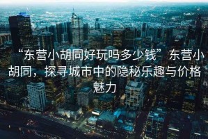 “東營小胡同好玩嗎多少錢”東營小胡同，探尋城市中的隱秘樂趣與價格魅力