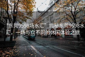 “東莞9598場(chǎng)水匯”揭秘東莞9598水匯，一場(chǎng)與眾不同的休閑體驗(yàn)之旅