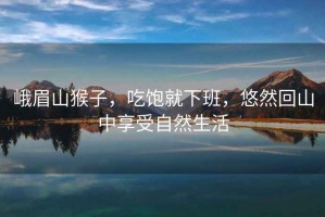峨眉山猴子，吃飽就下班，悠然回山中享受自然生活