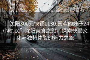 “沈陽300元快餐1130.喜歡的妹子24小時.cc”沈陽美食之旅，探索快餐文化與獨特體驗的魅力之旅