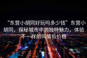 “東營小胡同好玩嗎多少錢”東營小胡同，探秘城市中的獨特魅力，體驗不一樣的風情與價格