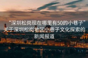 “深圳松崗現(xiàn)在哪里有50的小巷子”關于深圳松崗地區(qū)小巷子文化探索的新聞報道