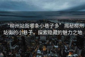 “柳州站街哪條小巷子多”揭秘柳州站街的小巷子，探索隱藏的魅力之地