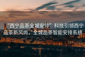 “西寧品茶全城安排”科技引領(lǐng)西寧品茶新風(fēng)尚，全城品茶智能安排系統(tǒng)