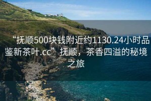 “撫順500塊錢附近約1130.24小時(shí)品鑒新茶葉.cc”撫順，茶香四溢的秘境之旅