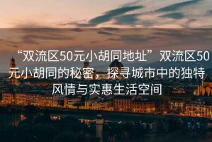 “雙流區(qū)50元小胡同地址”雙流區(qū)50元小胡同的秘密，探尋城市中的獨特風情與實惠生活空間