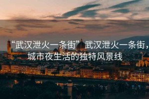 “武漢泄火一條街”武漢泄火一條街，城市夜生活的獨(dú)特風(fēng)景線