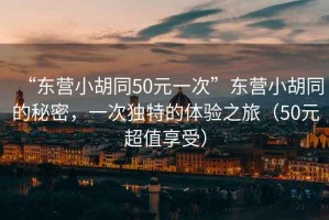 “東營小胡同50元一次”東營小胡同的秘密，一次獨特的體驗之旅（50元超值享受）