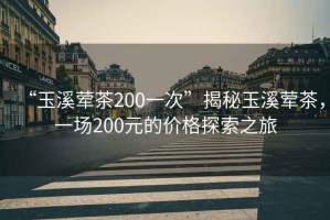 “玉溪葷茶200一次”揭秘玉溪葷茶，一場200元的價格探索之旅