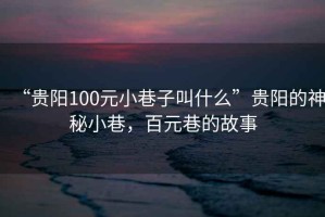 “貴陽(yáng)100元小巷子叫什么”貴陽(yáng)的神秘小巷，百元巷的故事