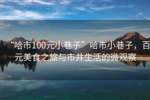 “哈市100元小巷子”哈市小巷子，百元美食之旅與市井生活的微觀察