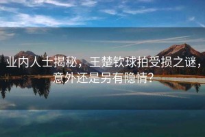 業(yè)內(nèi)人士揭秘，王楚欽球拍受損之謎，意外還是另有隱情？