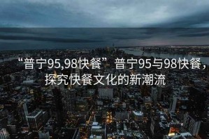 “普寧95,98快餐”普寧95與98快餐，探究快餐文化的新潮流
