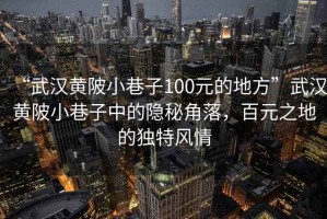 “武漢黃陂小巷子100元的地方”武漢黃陂小巷子中的隱秘角落，百元之地的獨(dú)特風(fēng)情