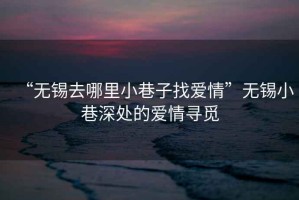 “無錫去哪里小巷子找愛情”無錫小巷深處的愛情尋覓