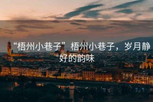 “梧州小巷子”梧州小巷子，歲月靜好的韻味