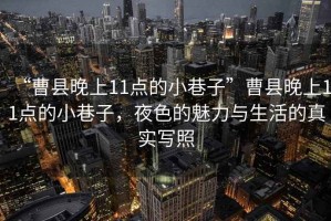 “曹縣晚上11點的小巷子”曹縣晚上11點的小巷子，夜色的魅力與生活的真實寫照