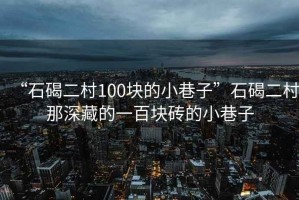 “石碣二村100塊的小巷子”石碣二村那深藏的一百塊磚的小巷子