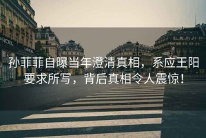 孫菲菲自曝當(dāng)年澄清真相，系應(yīng)王陽要求所寫，背后真相令人震驚！