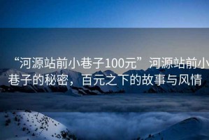 “河源站前小巷子100元”河源站前小巷子的秘密，百元之下的故事與風情