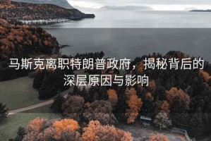 馬斯克離職特朗普政府，揭秘背后的深層原因與影響