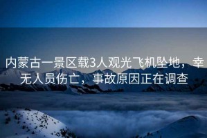 內(nèi)蒙古一景區(qū)載3人觀光飛機(jī)墜地，幸無人員傷亡，事故原因正在調(diào)查