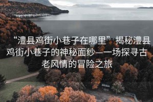 “澧縣雞街小巷子在哪里”揭秘澧縣雞街小巷子的神秘面紗—一場(chǎng)探尋古老風(fēng)情的冒險(xiǎn)之旅