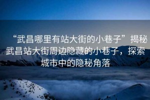 “武昌哪里有站大街的小巷子”揭秘武昌站大街周邊隱藏的小巷子，探索城市中的隱秘角落