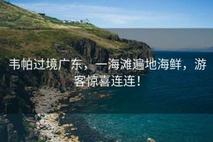 韋帕過境廣東，一海灘遍地海鮮，游客驚喜連連！
