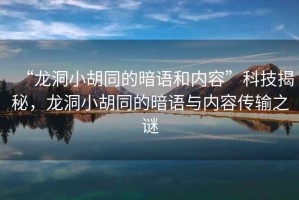 “龍洞小胡同的暗語和內(nèi)容”科技揭秘，龍洞小胡同的暗語與內(nèi)容傳輸之謎