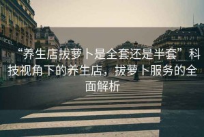 “養(yǎng)生店拔蘿卜是全套還是半套”科技視角下的養(yǎng)生店，拔蘿卜服務(wù)的全面解析