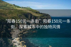 “陽春150元一條街”陽春150元一條街，探索城市中的獨(dú)特風(fēng)情