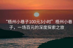 “梧州小巷子100元3小時(shí)”梧州小巷子，一場(chǎng)百元的深度探索之旅