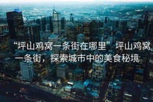 “坪山雞窩一條街在哪里”坪山雞窩一條街，探索城市中的美食秘境