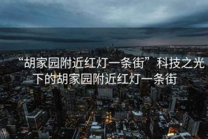 “胡家園附近紅燈一條街”科技之光下的胡家園附近紅燈一條街