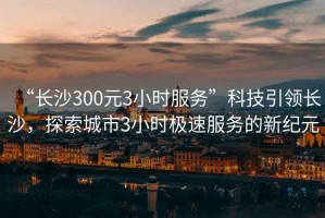 “長沙300元3小時(shí)服務(wù)”科技引領(lǐng)長沙，探索城市3小時(shí)極速服務(wù)的新紀(jì)元