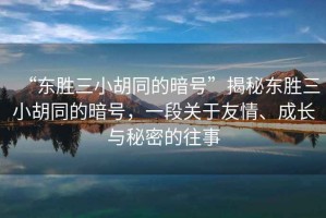 “東勝三小胡同的暗號”揭秘東勝三小胡同的暗號，一段關(guān)于友情、成長與秘密的往事