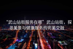 “武山站街服務(wù)在哪”武山站街，探尋美景與健康服務(wù)的完美交融