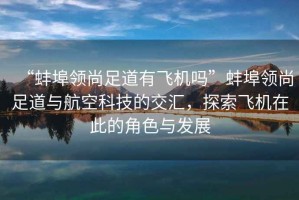 “蚌埠領(lǐng)尚足道有飛機(jī)嗎”蚌埠領(lǐng)尚足道與航空科技的交匯，探索飛機(jī)在此的角色與發(fā)展
