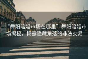 “舞陽暗娼市場在哪里”舞陽暗娼市場揭秘，揭露隱藏角落的非法交易