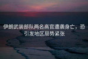 伊朗武裝部隊(duì)兩名高官遭襲身亡，恐引發(fā)地區(qū)局勢緊張