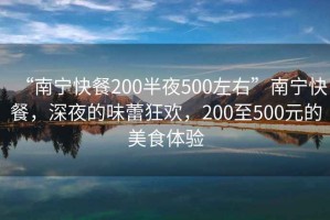 “南寧快餐200半夜500左右”南寧快餐，深夜的味蕾狂歡，200至500元的美食體驗