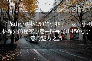 “龍山小樹(shù)林150的小巷子”龍山小樹(shù)林深處的秘密小巷—探尋龍山150號(hào)小巷的魅力之旅