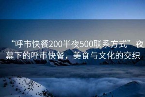“呼市快餐200半夜500聯(lián)系方式”夜幕下的呼市快餐，美食與文化的交織